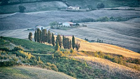 simsearch:400-07296321,k - An image of a Tuscany landscape in Italy Foto de stock - Super Valor sin royalties y Suscripción, Código: 400-07899798