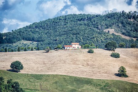 simsearch:400-07296321,k - An image of a Tuscany landscape in Italy Foto de stock - Super Valor sin royalties y Suscripción, Código: 400-07899791