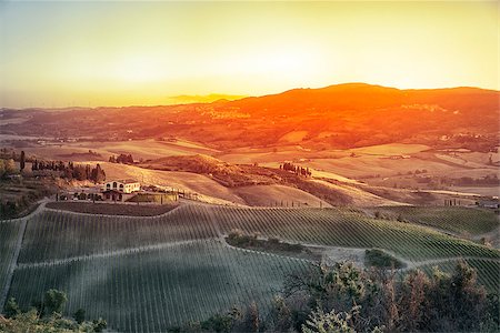 simsearch:400-07296321,k - An image of a Tuscany landscape in Italy Foto de stock - Super Valor sin royalties y Suscripción, Código: 400-07899800