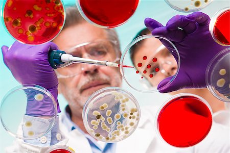 simsearch:628-02062769,k - Focused senior life science professional grafting bacteria in the pettri dishes.  Lens focus on the agar plate. Stock Photo - Budget Royalty-Free & Subscription, Code: 400-07891970