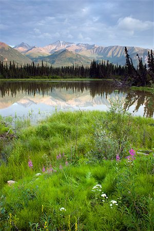 A tarn along the Chugach Mountains and Hwy 1 in Alaska Stock Photo - Budget Royalty-Free & Subscription, Code: 400-07892236