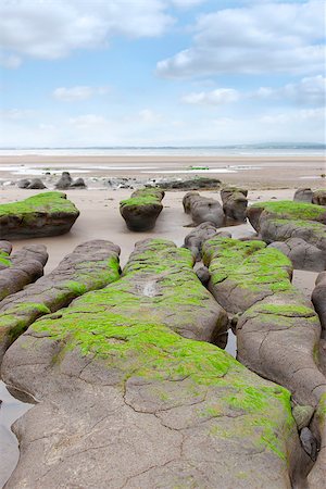 river shannon - unusual mud banks at Beal beach in county Kerry Ireland on the wild Atlantic way Stock Photo - Budget Royalty-Free & Subscription, Code: 400-07893015