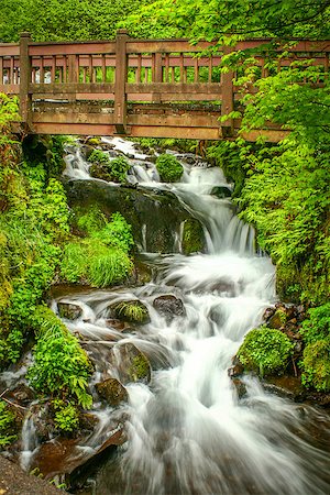 Beautiful Waterfall in Oregon along the Columbia River Gorge with a Wooden Bridge Stock Photo - Budget Royalty-Free & Subscription, Code: 400-07893814