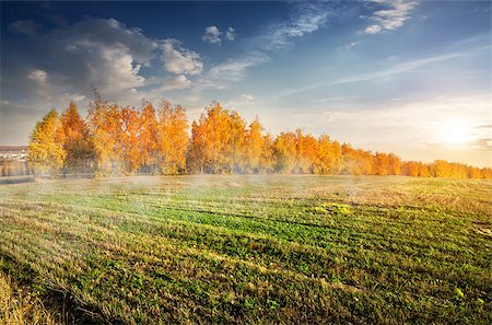 simsearch:400-08336120,k - Autumn forest and morning fog over the field Foto de stock - Royalty-Free Super Valor e Assinatura, Número: 400-07893994