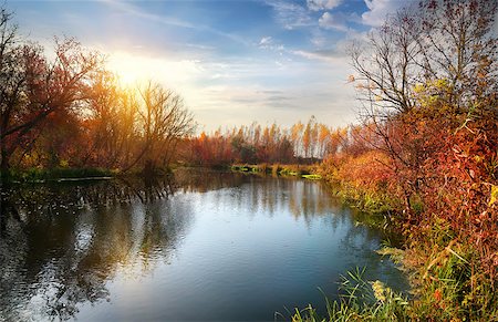 simsearch:400-07932171,k - Autumn season on the calm river at sunrise Foto de stock - Super Valor sin royalties y Suscripción, Código: 400-07893995