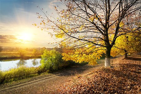 simsearch:400-04968925,k - Road through the autumn forest by the river Stock Photo - Budget Royalty-Free & Subscription, Code: 400-07893997
