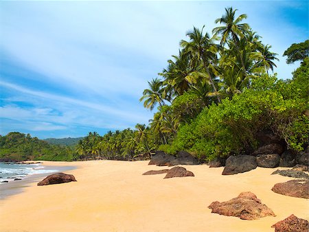 beautiful seascape with palm trees against the blue sky Fotografie stock - Microstock e Abbonamento, Codice: 400-07904121