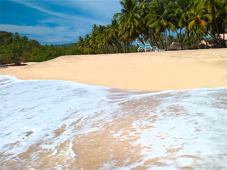 beautiful seascape with palm trees against the blue sky Fotografie stock - Microstock e Abbonamento, Codice: 400-07904122