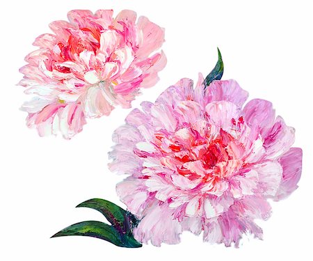 simsearch:400-07893049,k - Peonies isolated on white, oil painting Photographie de stock - Aubaine LD & Abonnement, Code: 400-07902803