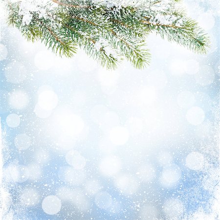 Christmas winter background with snow fir tree and blurred bokeh Stock Photo - Budget Royalty-Free & Subscription, Code: 400-07915244