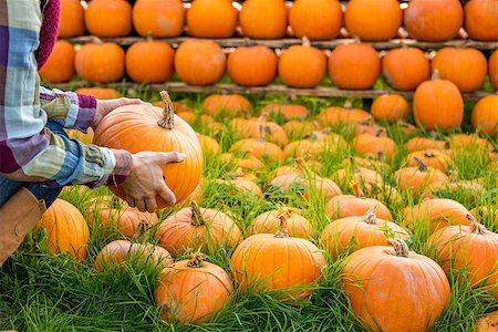 simsearch:400-07916492,k - Closeup on young woman holding pumpkin Stock Photo - Budget Royalty-Free & Subscription, Code: 400-07916500