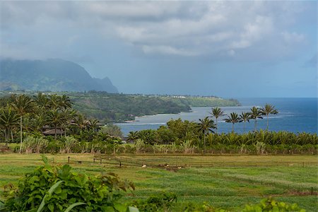 A view of the coast in Kilauea Bay in Kauai, Hawaii Stock Photo - Budget Royalty-Free & Subscription, Code: 400-07917024