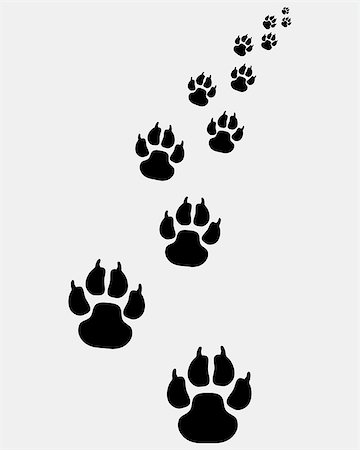 footprints on a path vector - Black footprints of dogs, turn left-vector illustration Stock Photo - Budget Royalty-Free & Subscription, Code: 400-07917307