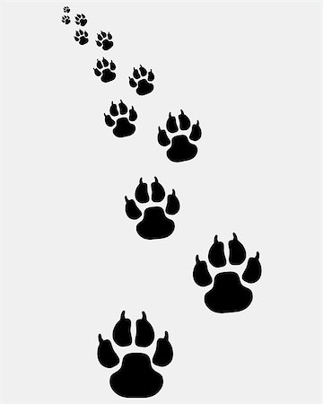 footprints on a path vector - Black footprints of dogs, turn left-vector illustration Stock Photo - Budget Royalty-Free & Subscription, Code: 400-07917308