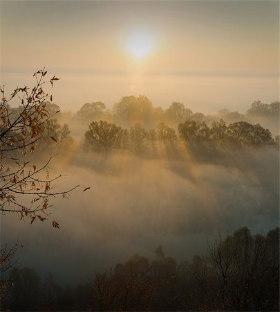 Sunbeams penetrate morning fog, autumn trees are in the foreground. This is a sunrise near the river. Fotografie stock - Microstock e Abbonamento, Codice: 400-07918452