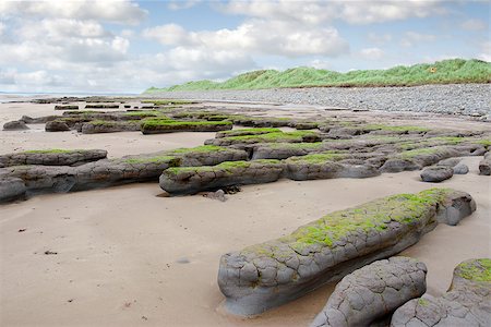 river shannon - unusual mud banks at Beal beach in county Kerry Ireland on the wild Atlantic way Stock Photo - Budget Royalty-Free & Subscription, Code: 400-07918977