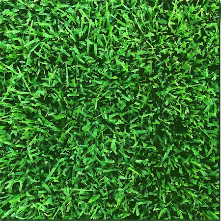 soccer field background - Grass Texture, Vector Illustration Stock Photo - Budget Royalty-Free & Subscription, Code: 400-07919059