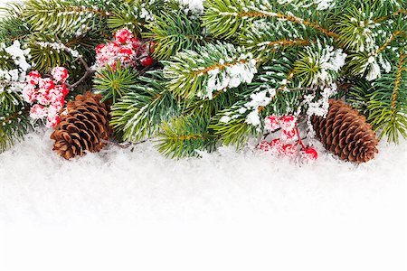 pine cone decorations - Christmas fir tree branch with holly berry over snow Stock Photo - Budget Royalty-Free & Subscription, Code: 400-07919370