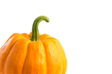 simsearch:400-05709481,k - Close-up shot of decorative orange pumpkin, isolated on white background Stock Photo - Budget Royalty-Free & Subscription, Code: 400-07919492