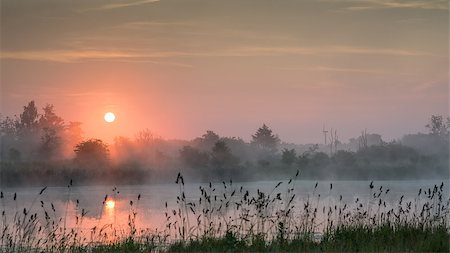 dfaagaard (artist) - A lake with the rising sun above and wild grass in the foreground. Stock Photo - Budget Royalty-Free & Subscription, Code: 400-07924174