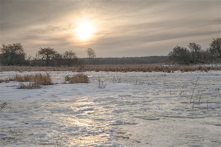 dfaagaard (artist) - Sunrise over a frozen meadow in early spring. Stock Photo - Budget Royalty-Free & Subscription, Code: 400-07924173