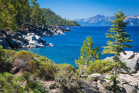 sierra - Beautiful Clear Water Shoreline of Lake Tahoe. Foto de stock - Royalty-Free Super Valor e Assinatura, Número: 400-07924692