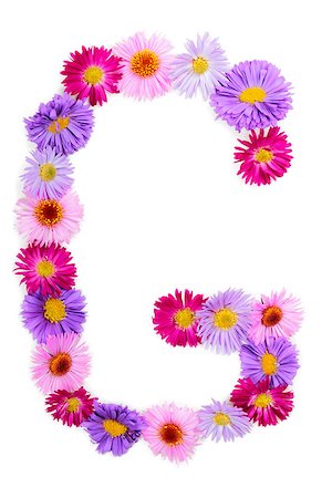 Letter G, multicolored aster flowers alphabet on white background Stock Photo - Budget Royalty-Free & Subscription, Code: 400-07925085
