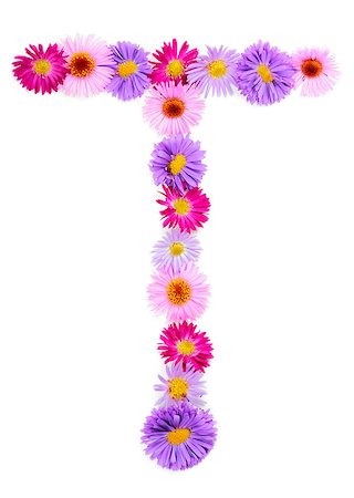 Letter T, multicolored aster flowers alphabet on white background Stock Photo - Budget Royalty-Free & Subscription, Code: 400-07925099