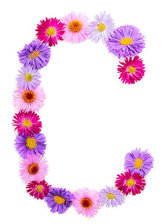 Letter C, multicolored aster flowers alphabet on white background Stock Photo - Budget Royalty-Free & Subscription, Code: 400-07925090