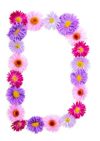 Letter D, multicolored aster flowers alphabet on white background Stock Photo - Budget Royalty-Free & Subscription, Code: 400-07925091