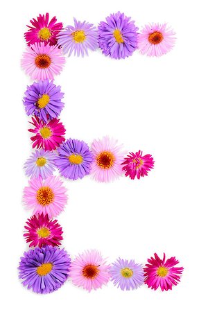 flower letter e - Letter E, multicolored aster flowers alphabet on white background Stock Photo - Budget Royalty-Free & Subscription, Code: 400-07925092