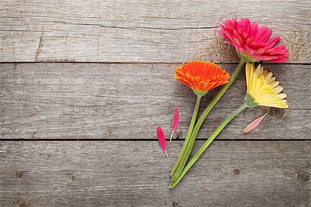 simsearch:400-08298802,k - Three colorful gerbera flowers on wooden table with copy space Photographie de stock - Aubaine LD & Abonnement, Code: 400-07925189