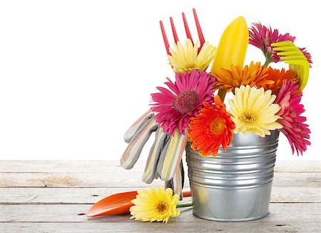 simsearch:400-08252596,k - Colorful flowers and garden tools on wooden table. Isolated on white background Photographie de stock - Aubaine LD & Abonnement, Code: 400-07925190