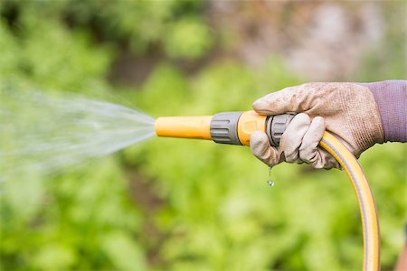 simsearch:400-08116305,k - Woman watering her flower bed at home in the garden Stock Photo - Budget Royalty-Free & Subscription, Code: 400-07927028