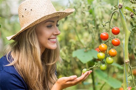 simsearch:400-08116305,k - Pretty blonde looking at tomato plant at home in the garden Stock Photo - Budget Royalty-Free & Subscription, Code: 400-07927036
