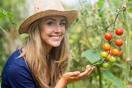 simsearch:400-07927044,k - Pretty blonde looking at tomato plant at home in the garden Stock Photo - Budget Royalty-Free & Subscription, Code: 400-07927037