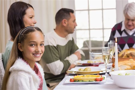 simsearch:400-07929054,k - Portrait of a smiling girl at christmas dinner at home in the living room Stock Photo - Budget Royalty-Free & Subscription, Code: 400-07928955