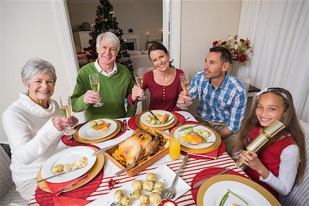 simsearch:400-07929054,k - Portrait of happy family toasting at camera at home in the living room Stock Photo - Budget Royalty-Free & Subscription, Code: 400-07929019