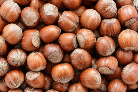 simsearch:689-03128441,k - Hazelnuts as an abstract background texture Stock Photo - Budget Royalty-Free & Subscription, Code: 400-07920887