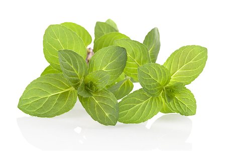 simsearch:649-07064970,k - Mint leaves isolated on white background with reflection. Aromatic herbs, culinary cooking. Healthy living. Foto de stock - Super Valor sin royalties y Suscripción, Código: 400-07921025