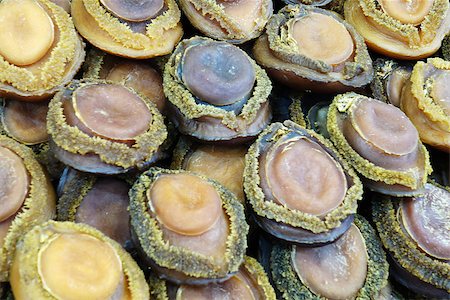 Dried abalone sold on the market in Hong Kong Stock Photo - Budget Royalty-Free & Subscription, Code: 400-07921804