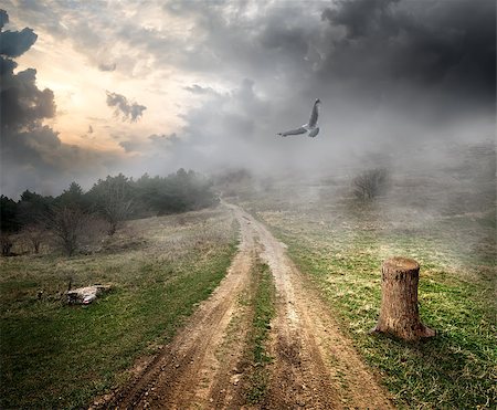 Bird over country road and storm clouds Stock Photo - Budget Royalty-Free & Subscription, Code: 400-07923861