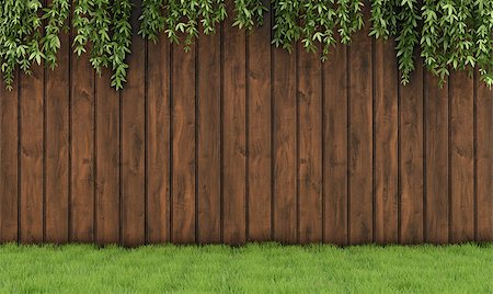 simsearch:400-08554639,k - Garden with old wooden fence, grass and leaf plant-3D Rendering Stock Photo - Budget Royalty-Free & Subscription, Code: 400-07934103