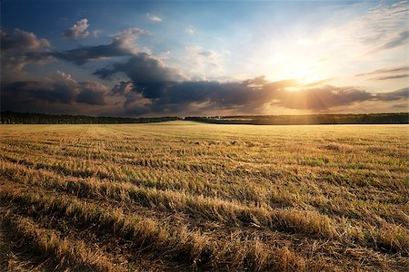 simsearch:400-07932789,k - Sunbeams through clouds over the autumn field Stock Photo - Budget Royalty-Free & Subscription, Code: 400-07934129