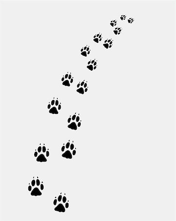 simsearch:400-04327046,k - Footprints of dog, turn right, vector Photographie de stock - Aubaine LD & Abonnement, Code: 400-07937661
