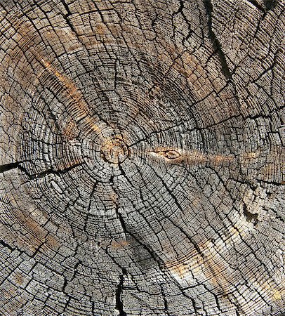 simsearch:400-08110547,k - Cracked section of wood texture Stock Photo - Budget Royalty-Free & Subscription, Code: 400-07932246