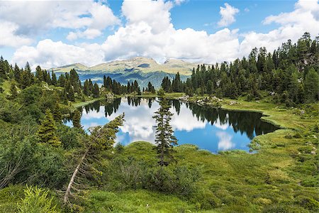 rolle pass - Small lake of Colbricon near Rolle Pass, Dolomites - Trentino, Italy Stock Photo - Budget Royalty-Free & Subscription, Code: 400-07932450