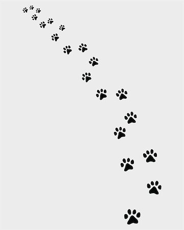 Black trail of cat, turn left, vector illustration Stock Photo - Budget Royalty-Free & Subscription, Code: 400-07932506