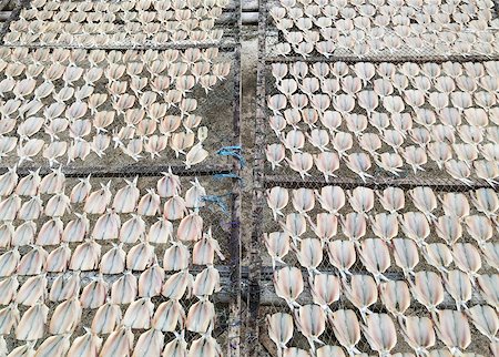 Dried fish on the grill near fisherman village. Foto de stock - Royalty-Free Super Valor e Assinatura, Número: 400-07932540