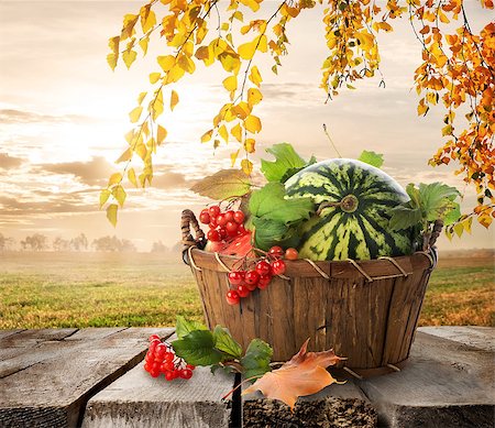 simsearch:400-07932348,k - Basket with watermelons on a nature background Foto de stock - Super Valor sin royalties y Suscripción, Código: 400-07932710